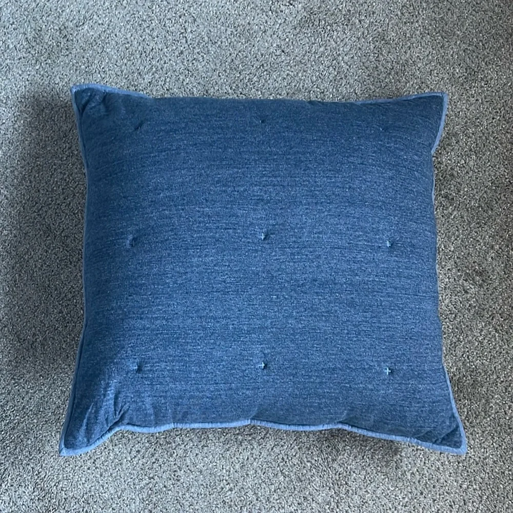 West Elm Tencel Euro Sham Set